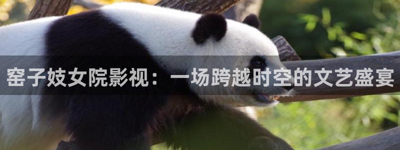 星海之外定档海报