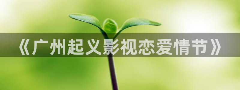 星海之外定档海报