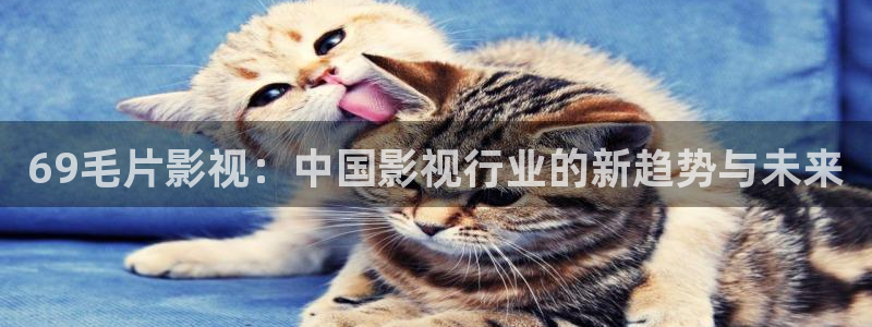 星海之外定档海报