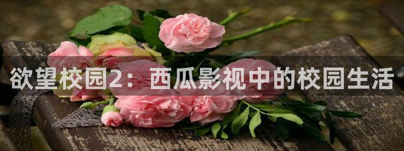 星海之外定档海报