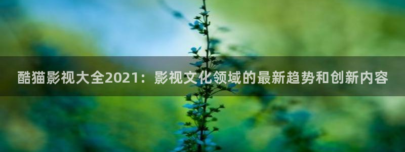 星海之外定档海报