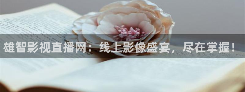 星海之外定档海报