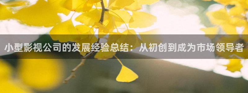 星海之外定档海报